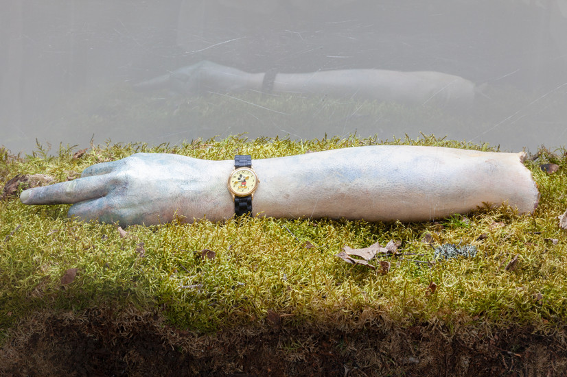 I Left My Fuck You At Home
Roderick Hietbrink
Synthetic plaster, epoxy clay, shellac paint, Mickey Mouse watch, sheet moss, grow lights, used aquarium, aluminium frame.
80L x 40D x 130H cm.