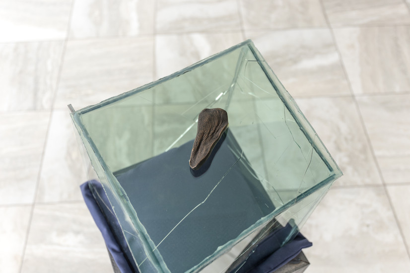 Sleep, detalj, 2025, Sandefjord kunstforening