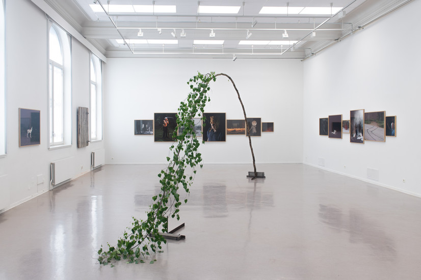 Installasjonsfoto fra separatutstilling Slash & Burn, Kunstbanken senter for samtidskunst, Hamar, 2020