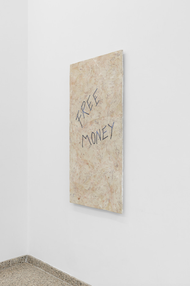 Money, ThomasBremerstent, Rabbitskin glue, pigment, Linseed oil, aluminium, 120 x 60 x 4 cm, 2025,  AFFILIATE / WIELS, Brussel, Belgia, foto: usefulartservice
