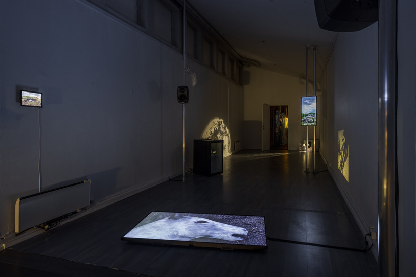 Dokumentation af video og lydinstallationen "Dragon (silence and spit)" fra MFA afgangs og gruppe udstilling "Hold\" på Kunstnernes Hus, 2025. Et mørkt rum med skærme og højtalere, på skærmen i forgrunden er hovedet af et 3D animeret hestedyr, på væggen til venstre en skærm med et lille billede af et dyr i natur, på skærmen længst borte en tekst. I baggrunden er der værker fra en gruppe udstillingens andre kunstnere.