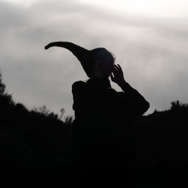 En silhuett av en person med en hornformet hatt, mot en bakgrunn av lyse skyer.