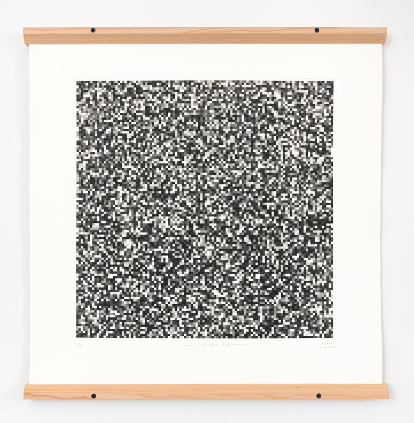 En serie verk bestemt av tilfeldigheter. Tonen i hver celle i et akvatintrutenett bestemmes av terningkast som kontrollerer tiden som brukes i jernsyre. Prosessen fremkaller et bilde fra tilfeldighet, som kobler analoge prosesser til pikselen fra digitale bilder.