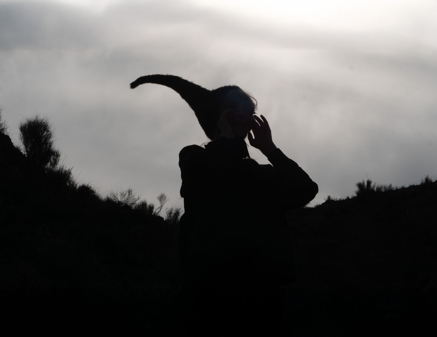 En silhuett av en person med en hornformet hatt, mot en bakgrunn av lyse skyer.