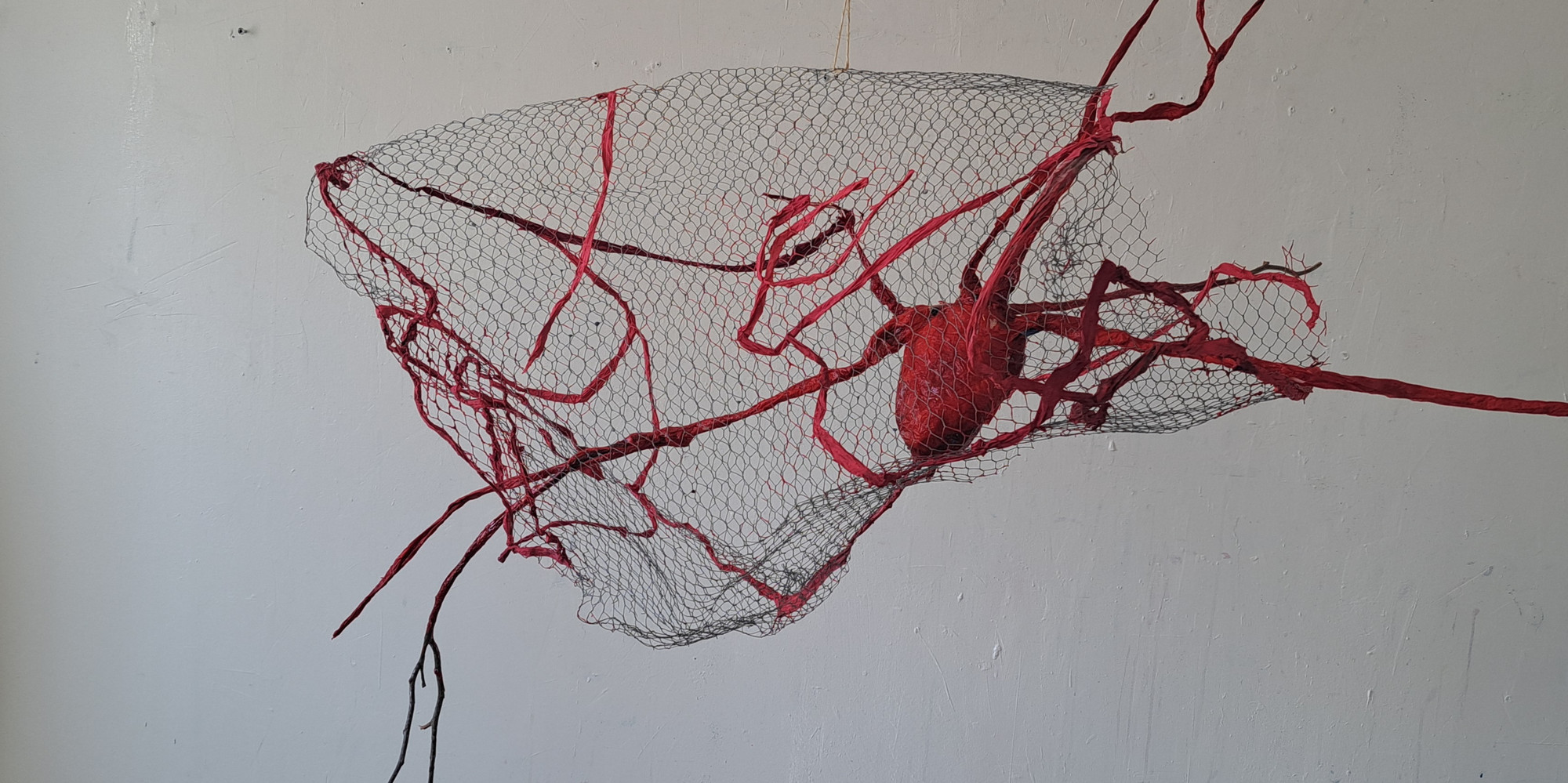En hengende skulptur laget med hønsenetting og på innsiden ett rødt hjerte med blodårer til alle retninger