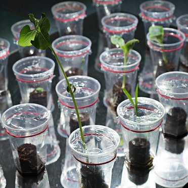 Fra Svartjords utstilling under Oslo Open 2015, Prindsen Project Space. Foto: svartjord.com