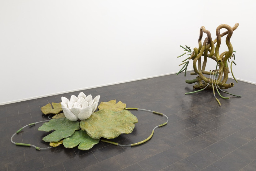 The image is an overview of a ceramic installation. The installation consists of multiple components arranged into different groups. The entire installation depicts a water lily and its root system.

One group features a white water lily combined with various lily pads in shades of green. The other group is a larger sculpture inspired by the root system of water lilies. This sculpture is composed of numerous ceramic tubes intertwined to form a large knot. Smaller tubes extend from this knot, connected to the sculpture with transparent plastic hoses. All the pieces are made of glazed stoneware.