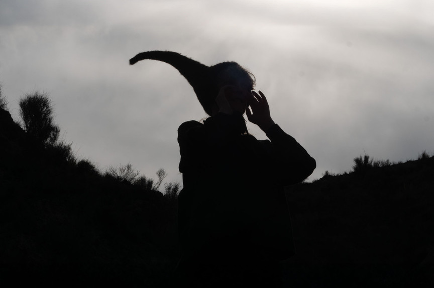 En silhuett av en person med en hornformet hatt