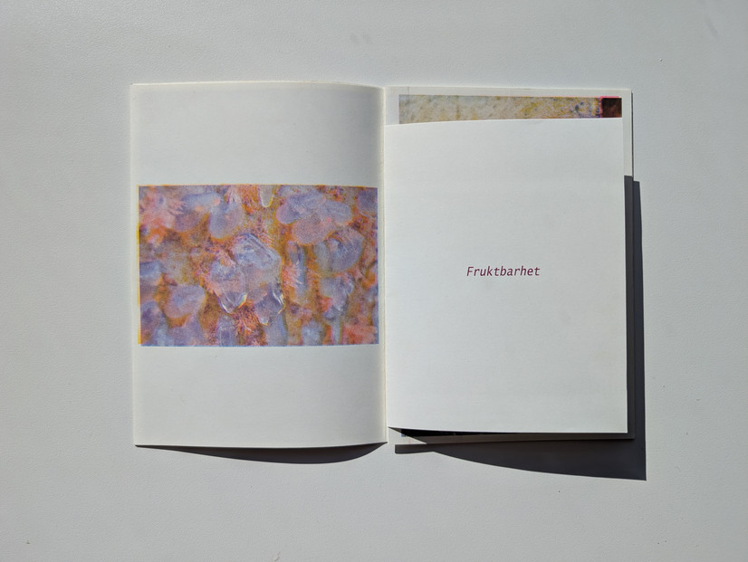 En kunstbok åpnet opp på en side med et risoprintet foto på venstre side. Fotoet viser noe rosa, kroppslig og geleaktig, som i virkeligheten er et nærbilde av en koloni med cionaer. På siden til høyre står det med rosa skrift "fruktbarhet" på hvit bakgrunn.