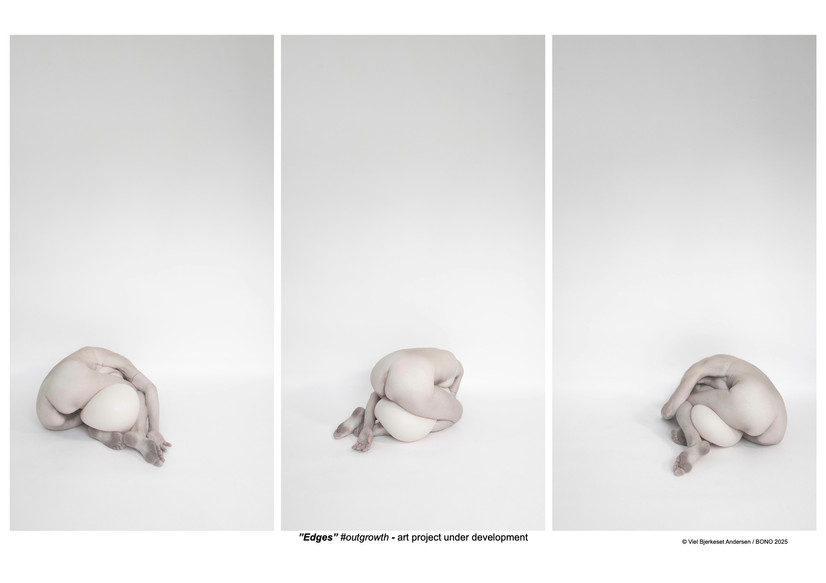 Foto fra en "stille performance". Kropp og detaljer