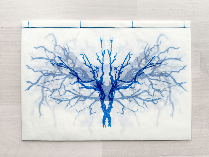 Reflecting on how parasites can provoke mental illness, this publication contains a collection of drawings of fictitious "Anxiety parasites". Illustrating the feeling of walking through a dense forest, the drawings overlap each other, as an allegory to brain fog caused by anxiety.

Page by page: https://vimeo.com/942194927